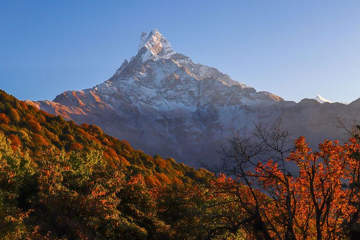 Mardi Himal Trek